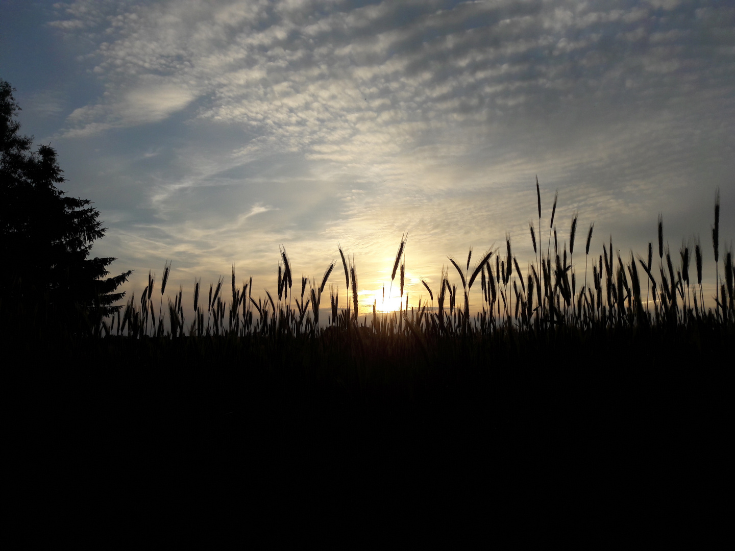 Sonnenuntergang auf dem Lande