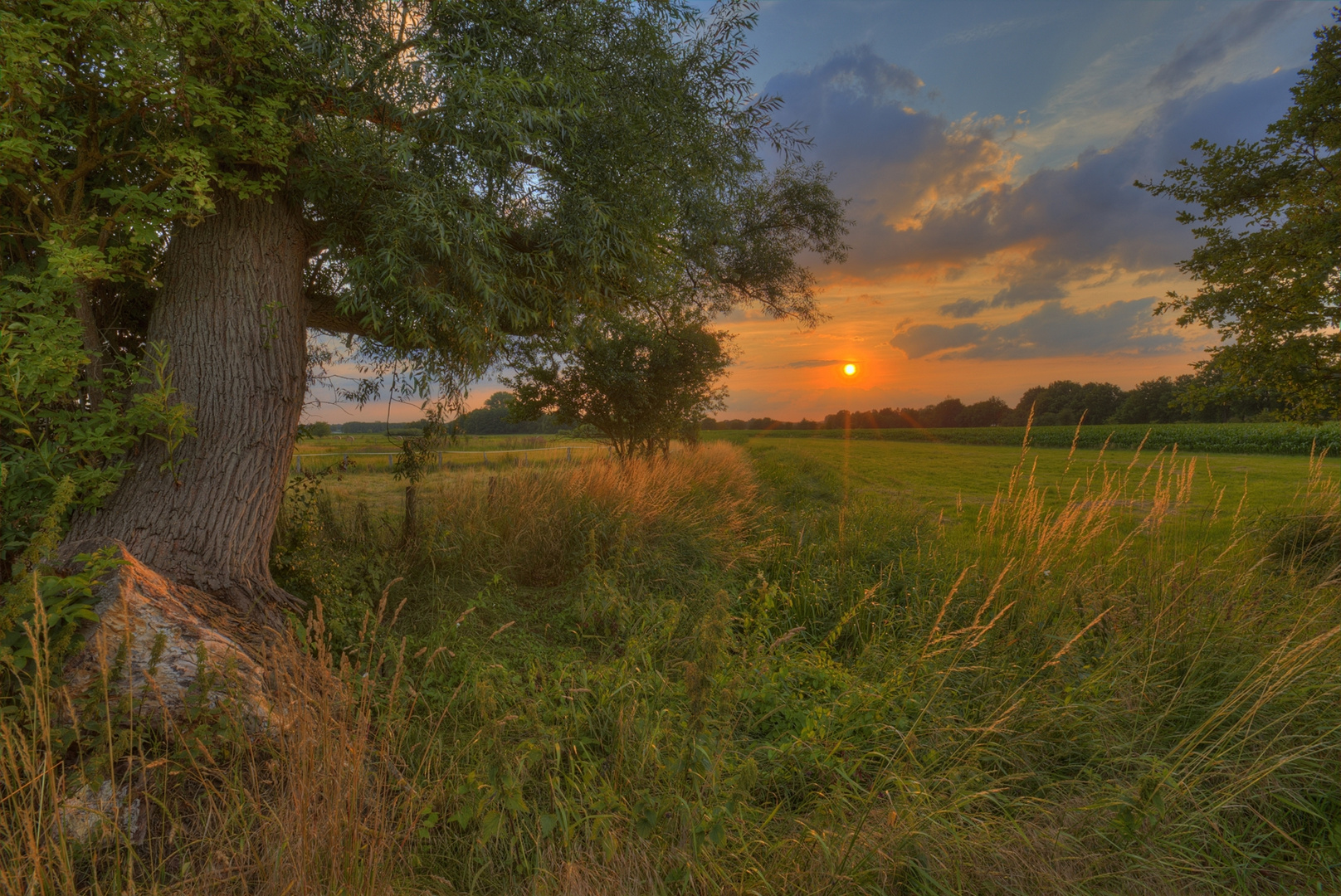 Sonnenuntergang auf dem Lande