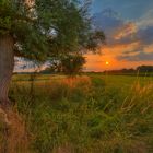 Sonnenuntergang auf dem Lande