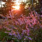 Sonnenuntergang auf dem Lilienstein