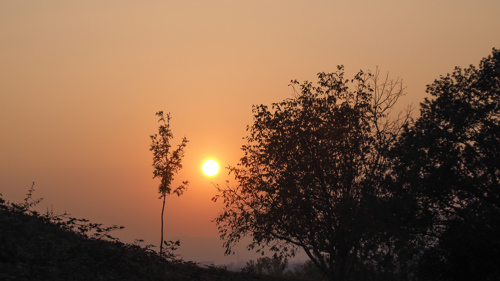 Sonnenuntergang auf dem Michaelsberg (1)