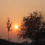 Sonnenuntergang auf dem Michaelsberg (1)