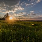 Sonnenuntergang auf dem Mühlberg bei Waging