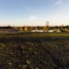 Sonnenuntergang auf dem Plateau der Halde Lydia Camphausen