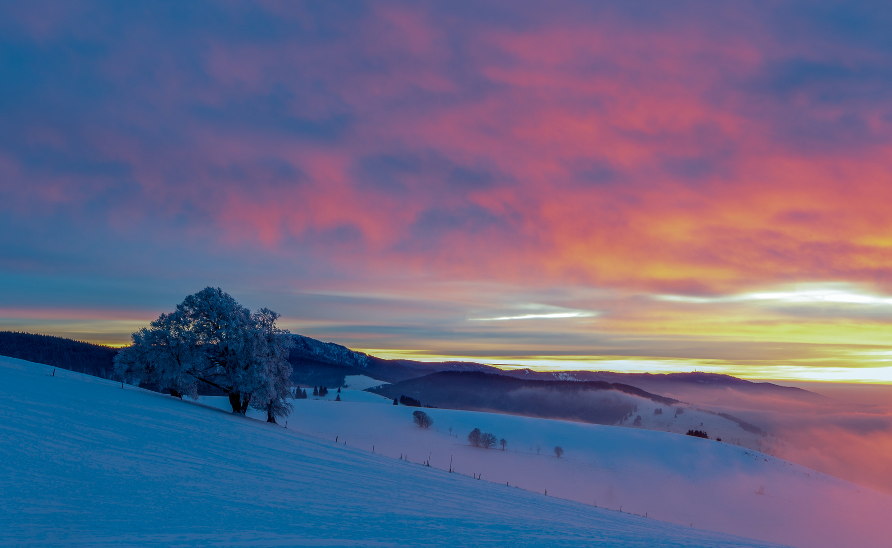 Sonnenuntergang auf dem Schauinsland