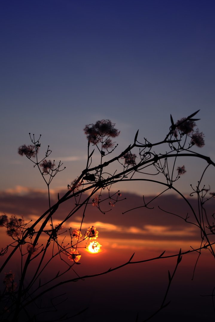 Sonnenuntergang auf dem Schönberg