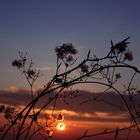 Sonnenuntergang auf dem Schönberg