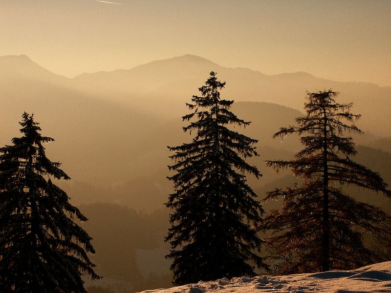 Sonnenuntergang auf dem Sonnberg 2