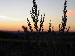 Sonnenuntergang auf dem Stünzel