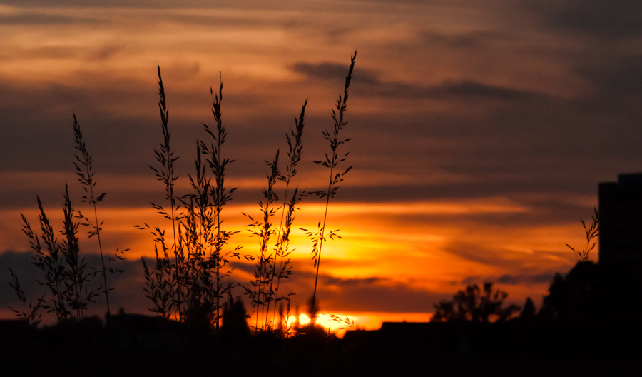 Sonnenuntergang auf dem Sulgen