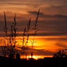 Sonnenuntergang auf dem Sulgen