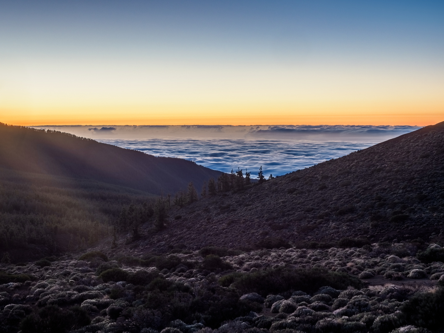 Sonnenuntergang auf dem Teide