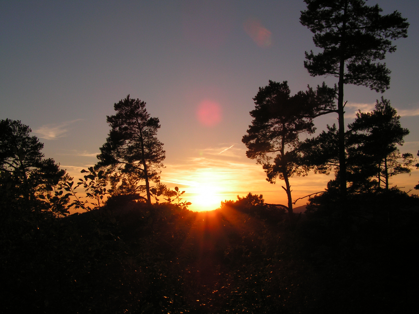 Sonnenuntergang auf dem Theisenkopf / Schwarzwald