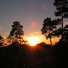 Sonnenuntergang auf dem Theisenkopf / Schwarzwald