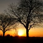 Sonnenuntergang auf dem Tönisberg