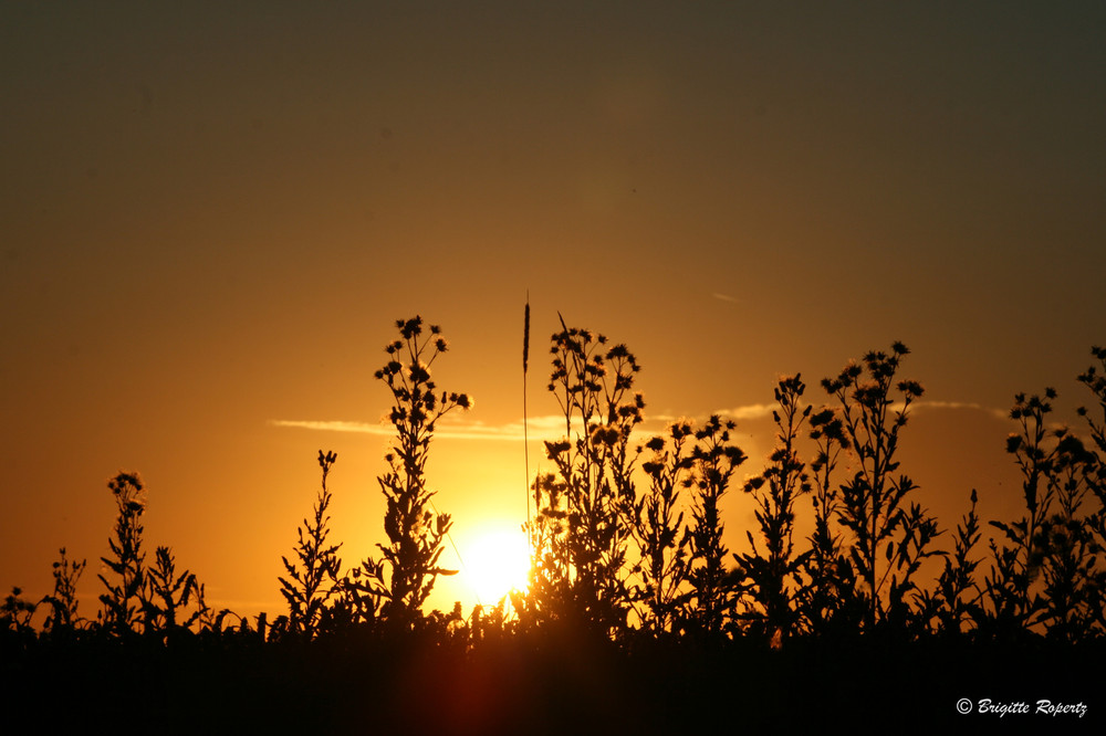 Sonnenuntergang auf dem Weg in den Urlaub