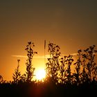 Sonnenuntergang auf dem Weg in den Urlaub