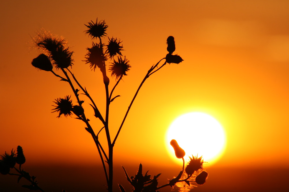 Sonnenuntergang auf dem Weg in den Urlaub III