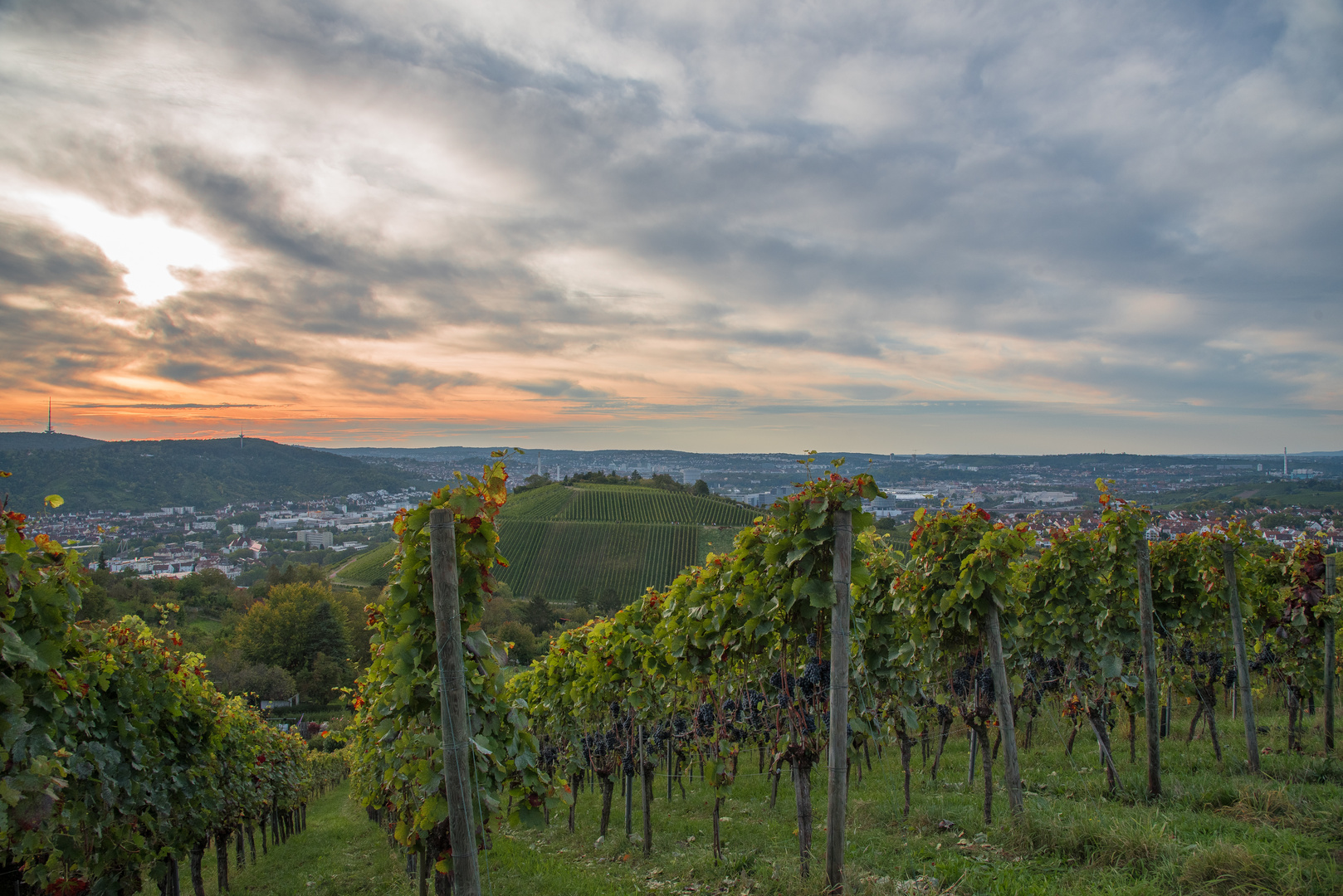 Sonnenuntergang auf dem Württemberg