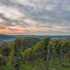 Sonnenuntergang auf dem Württemberg