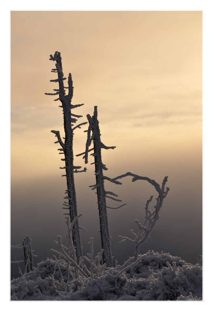 sonnenuntergang auf dem wurmberg ...