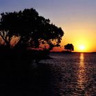 Sonnenuntergang auf dem Zambezi