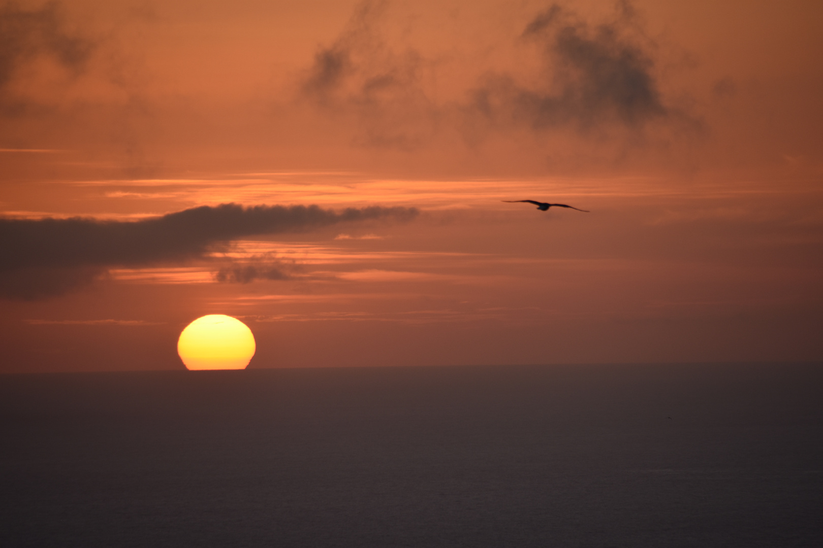 Sonnenuntergang auf den Azoren