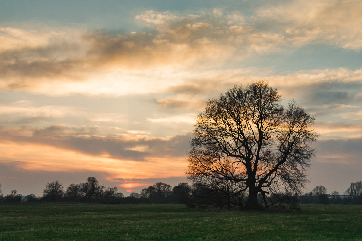 Sonnenuntergang auf den Elbwiesen