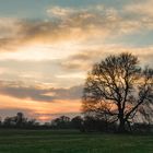 Sonnenuntergang auf den Elbwiesen