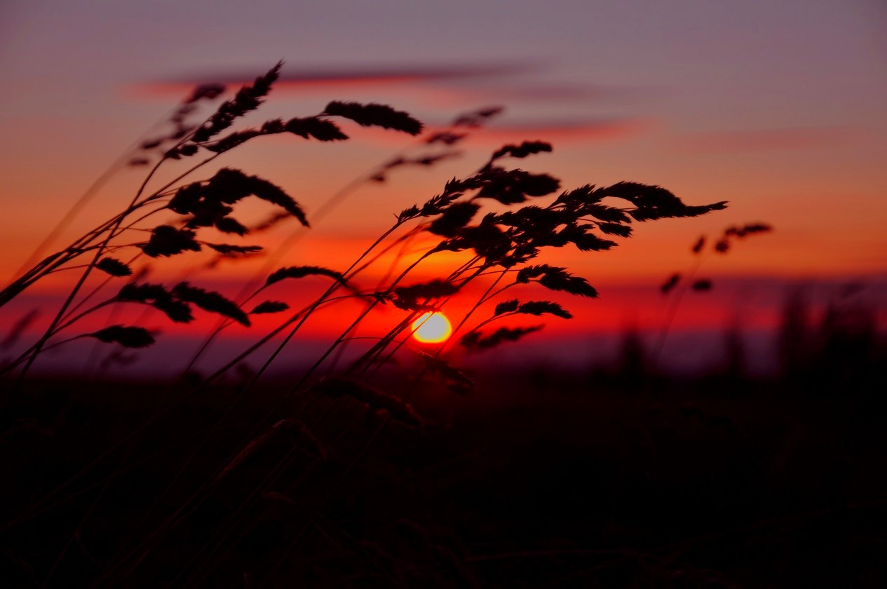 Sonnenuntergang auf den Schneekopf 2