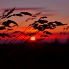 Sonnenuntergang auf den Schneekopf 2