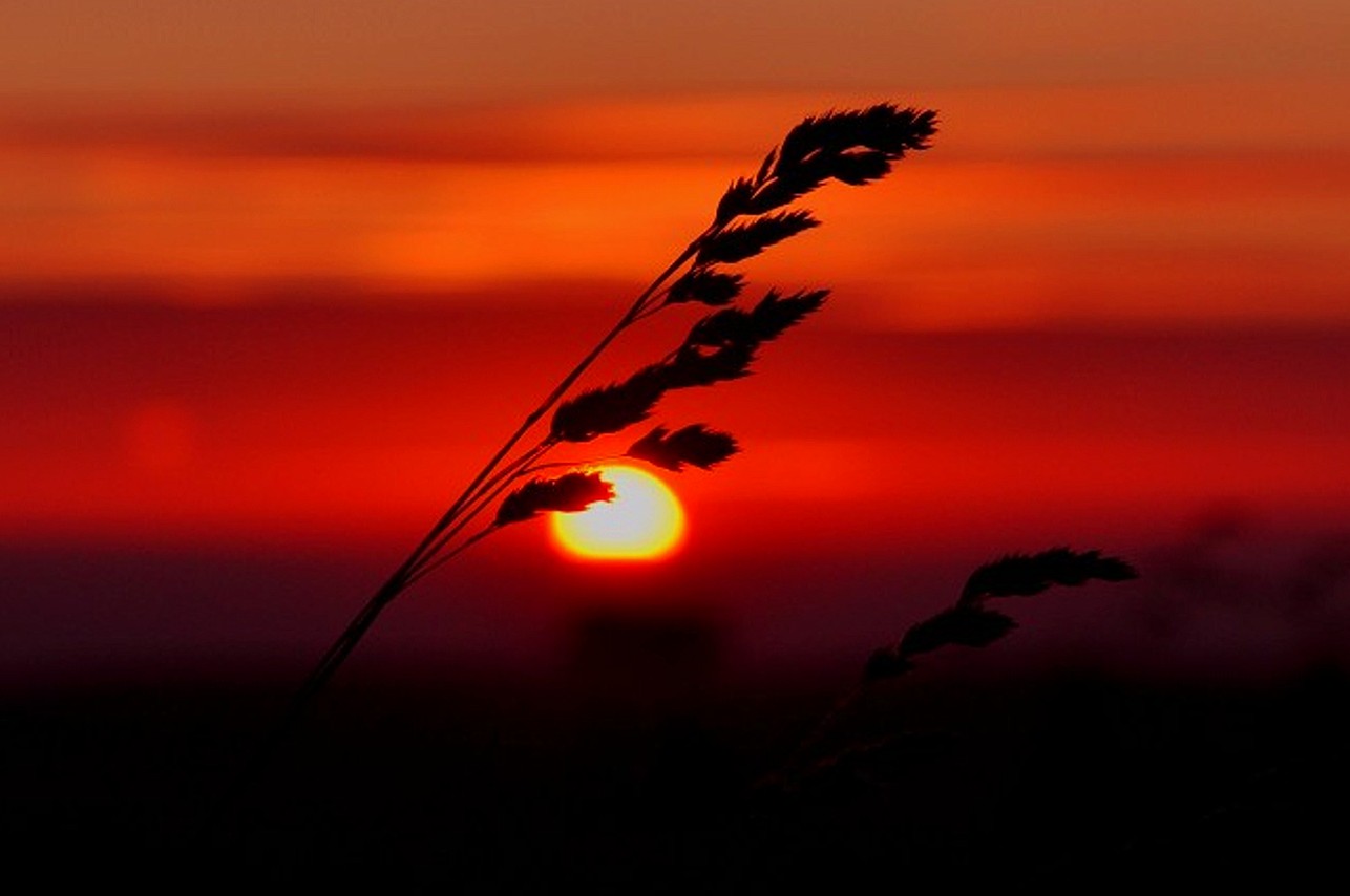 Sonnenuntergang auf den Schneekopf 3