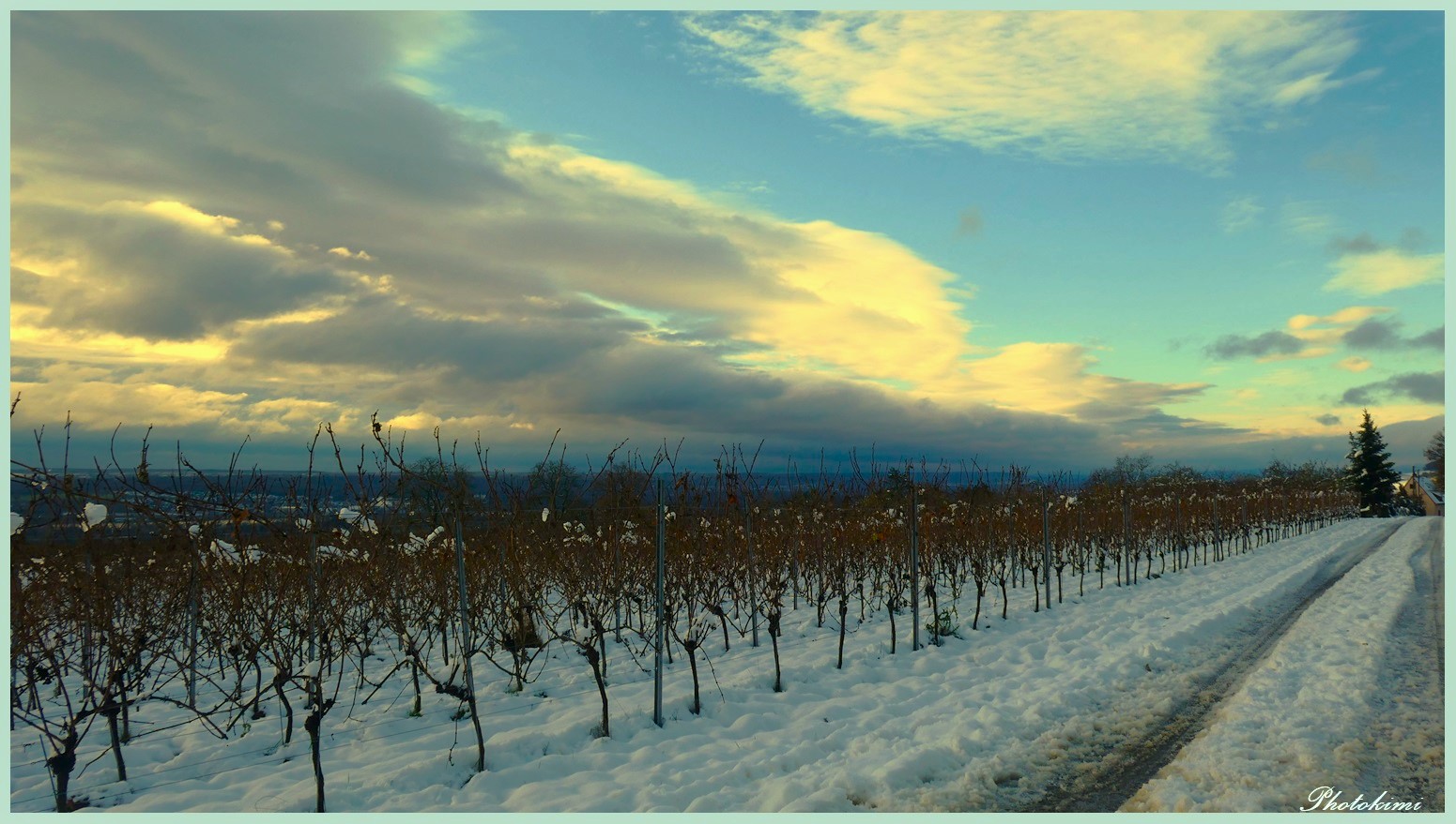 Sonnenuntergang auf den Weinbergen 