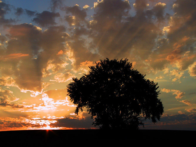 Sonnenuntergang auf der Alb von Helmut Grauer