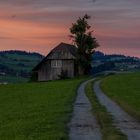 Sonnenuntergang auf der Allmend