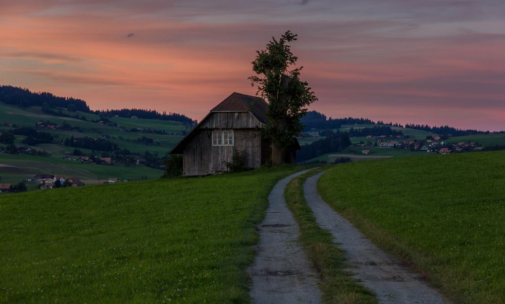 Sonnenuntergang auf der Allmend