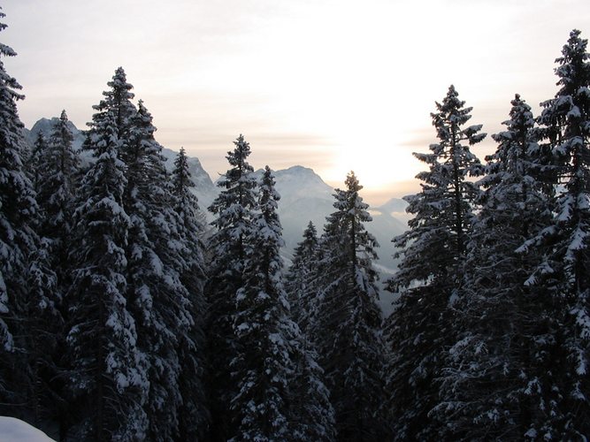 Sonnenuntergang auf der Alm