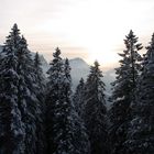 Sonnenuntergang auf der Alm