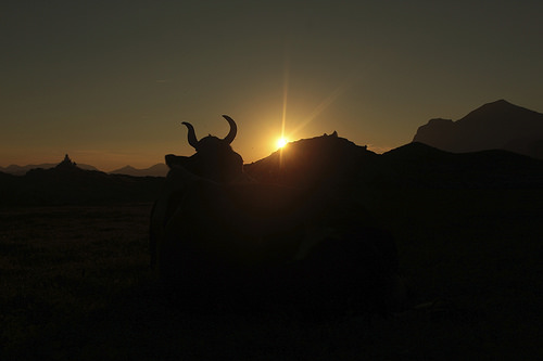 Sonnenuntergang auf der Alp