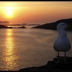 Sonnenuntergang auf der Dingle-Halbinsel