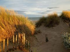 Sonnenuntergang auf der Düne