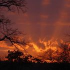 Sonnenuntergang auf der EON Wiese