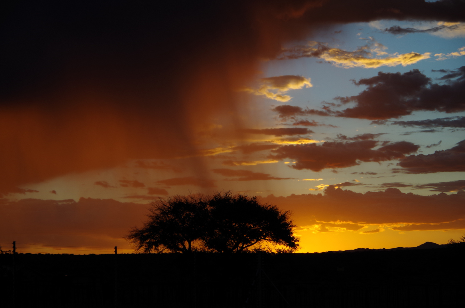 Sonnenuntergang auf der Farm