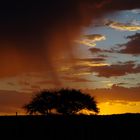 Sonnenuntergang auf der Farm