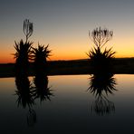 Sonnenuntergang auf der Farm Heimat