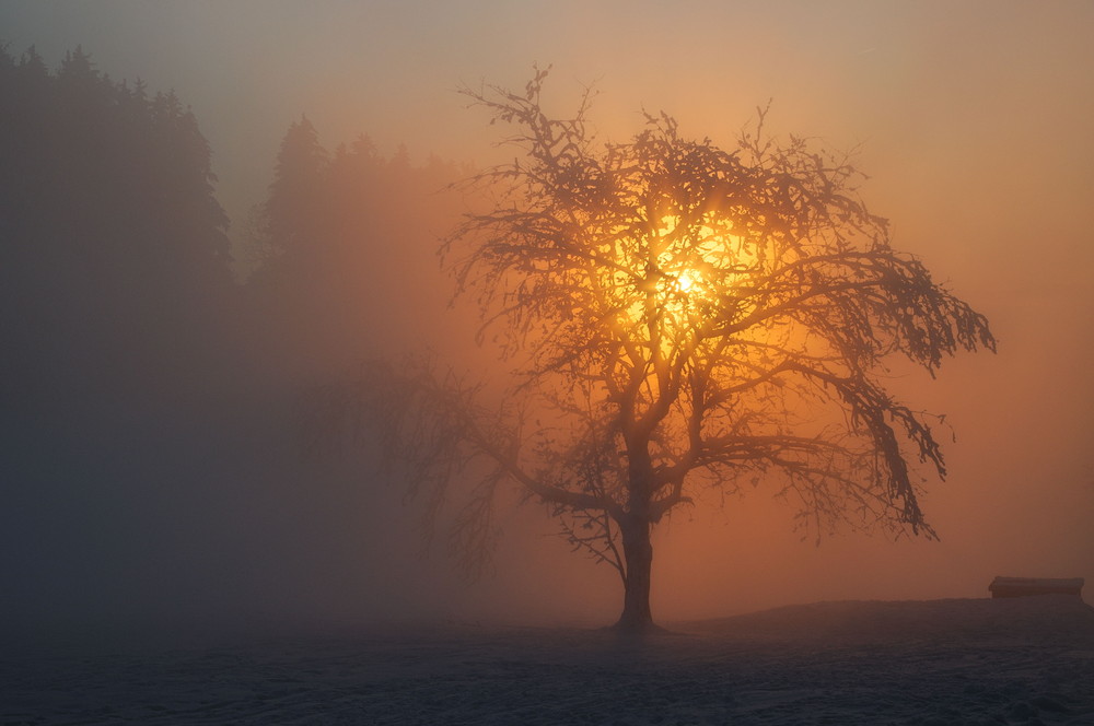 Sonnenuntergang auf der Felsenegg