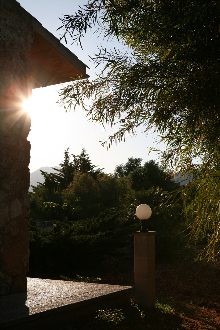 Sonnenuntergang auf der Finca ...