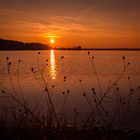 Sonnenuntergang auf der Geltinger Birk