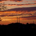 Sonnenuntergang auf der Haar