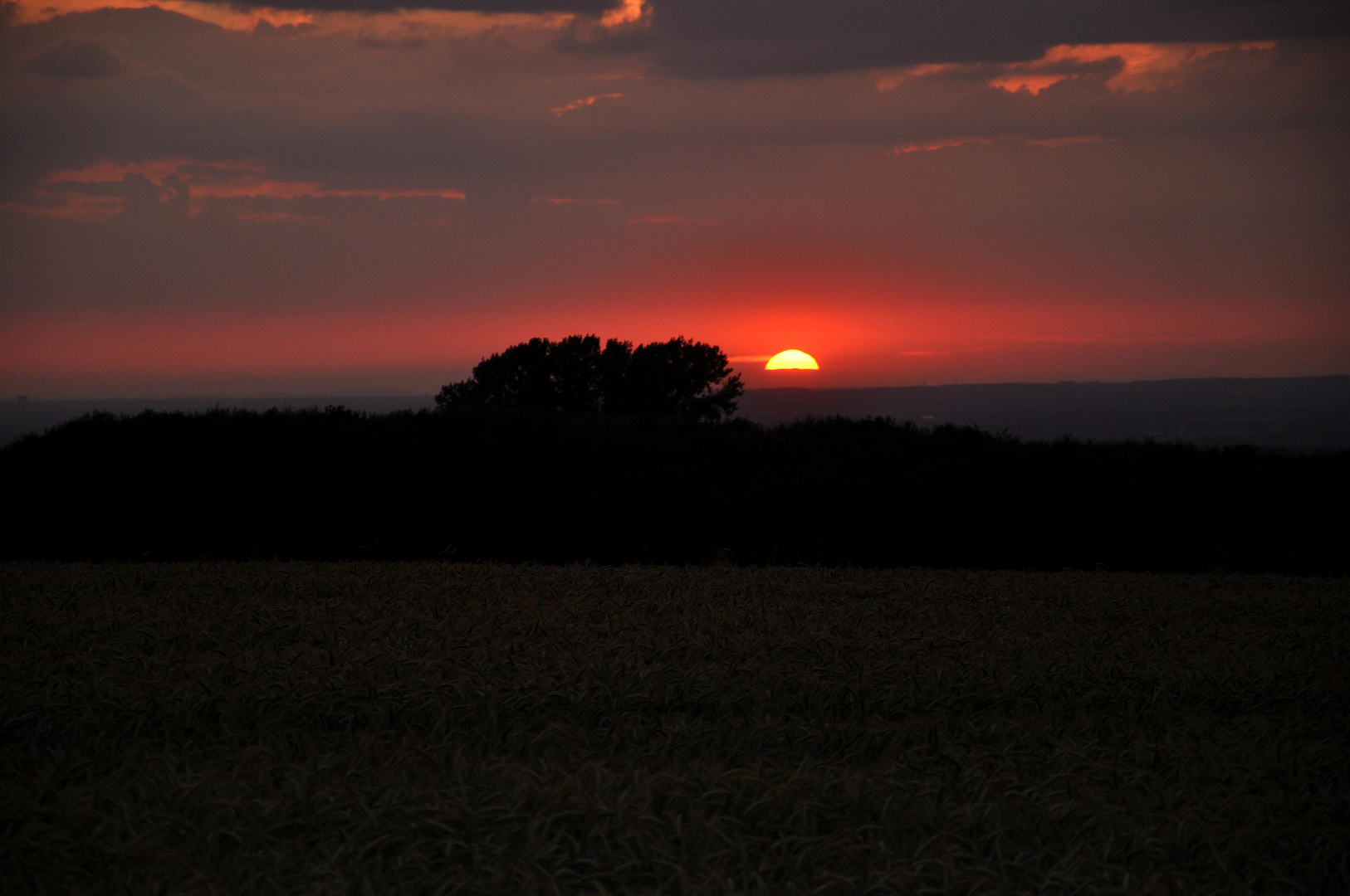 Sonnenuntergang auf der Haar...